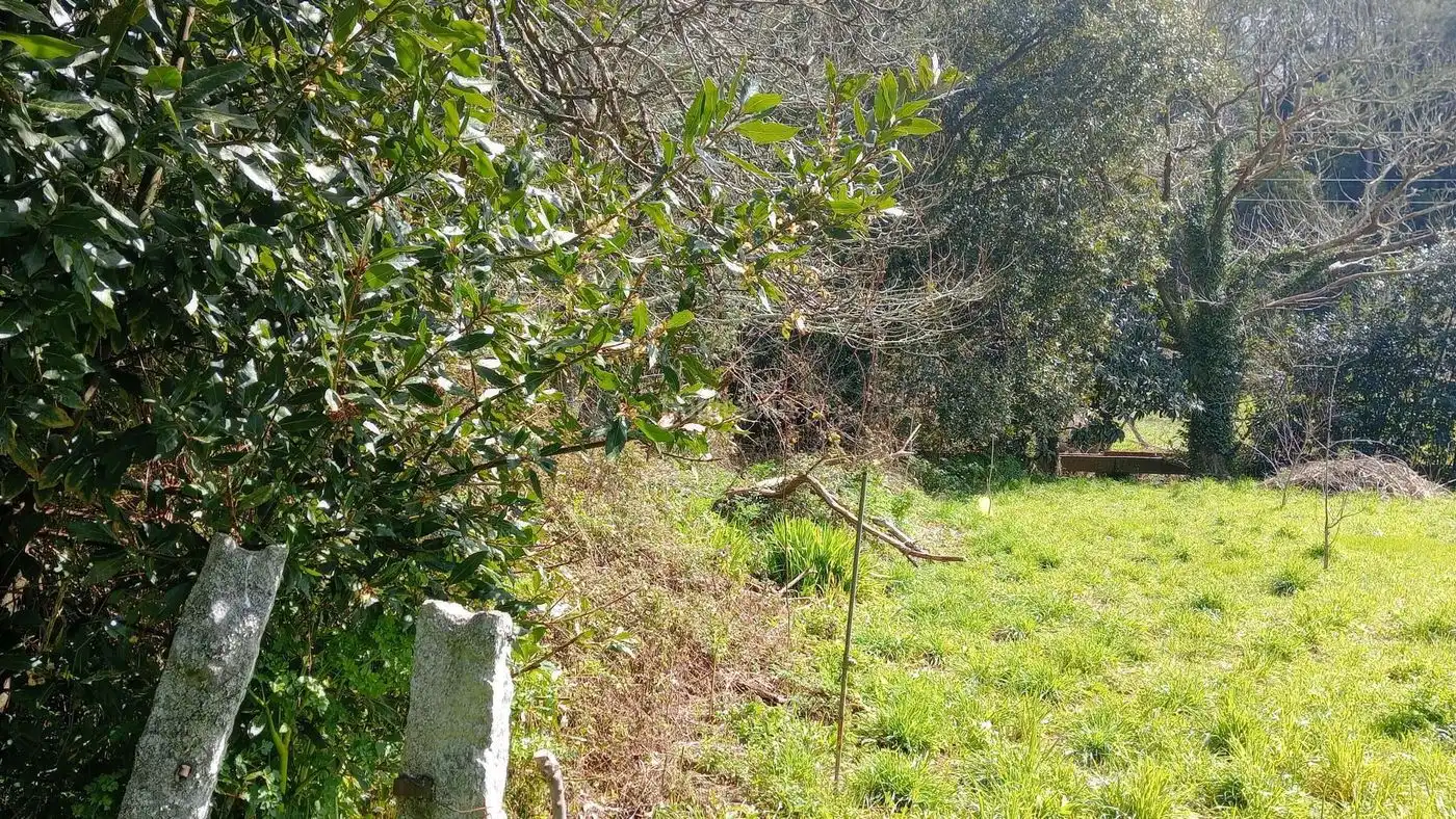 Casa en venta en Estrada Alvariza 19, imagen 10