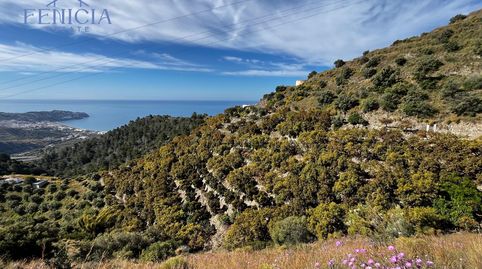 Foto 4 de Finca rústica en venta en El Rescate - Río Seco, Almuñécar