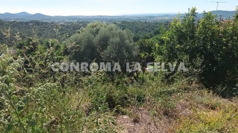 Espectacular Terreno con vistas al Mar, immagine 2