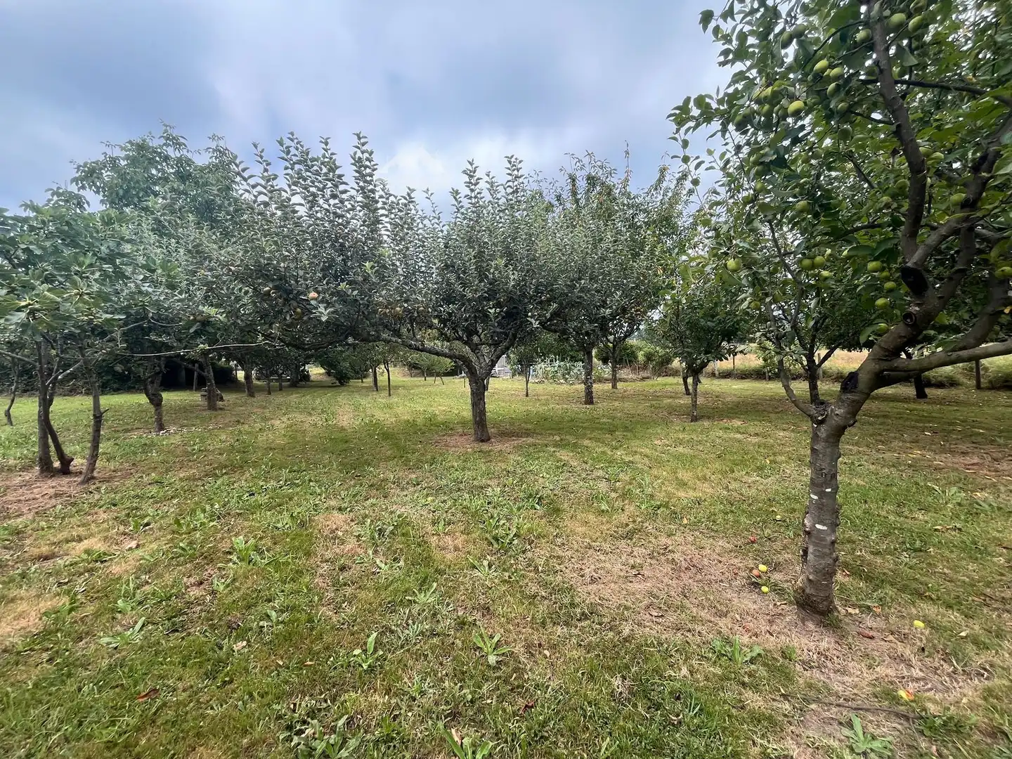 Rural land for sale in Covelo, imagen 14
