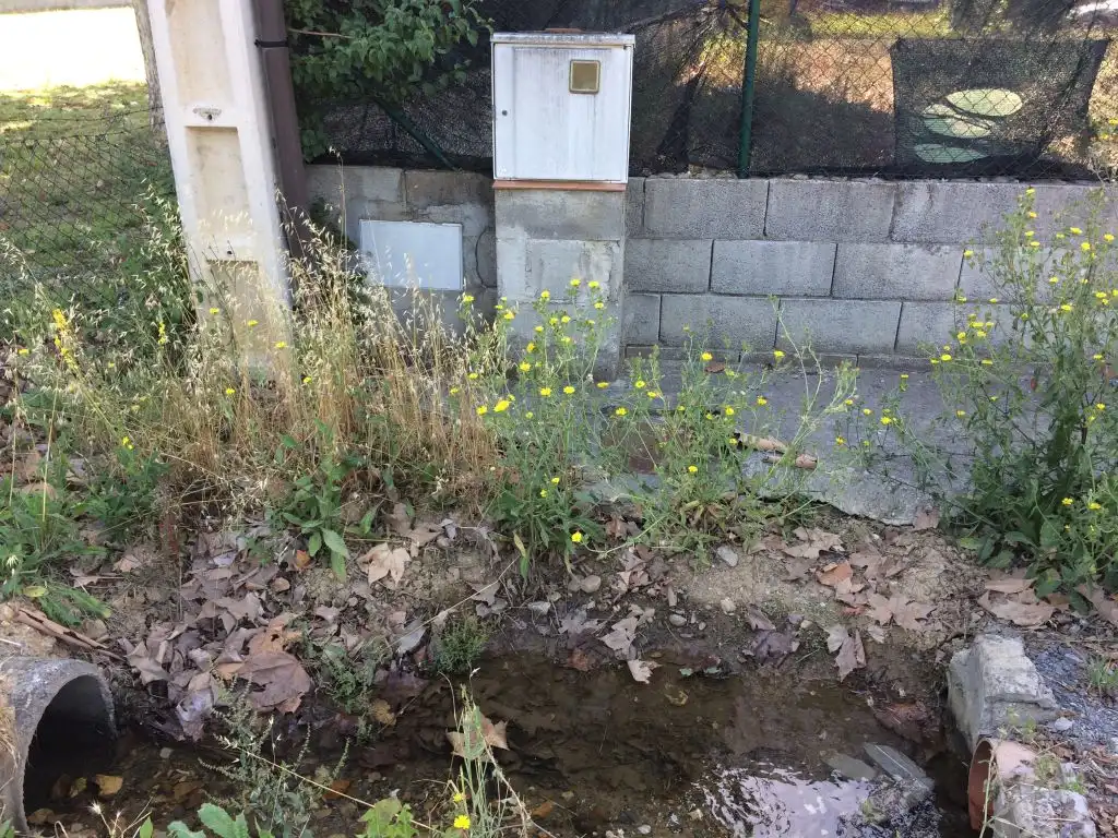 Jardín de Finca rústica en venta en Cubillos del Sil con Jardín privado, Terraza y Amueblado