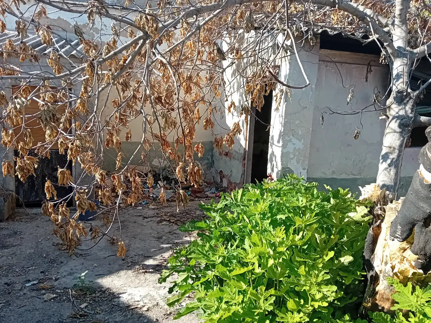 Terrenos y solares en venta en Torralba de Calatrava, imagen 12