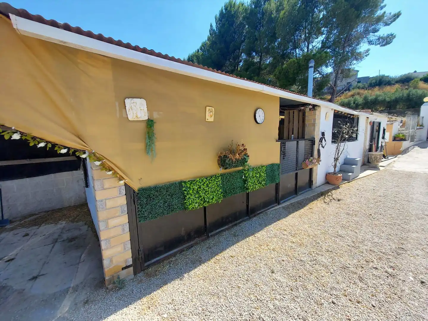 Exterior view of Country homes for sale in Cieza  with Private garden and Swimming Pool