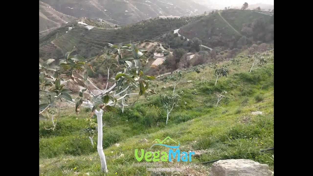 Grundstücke und Bauplätze zum Verkauf in El Rescate, imagen 14