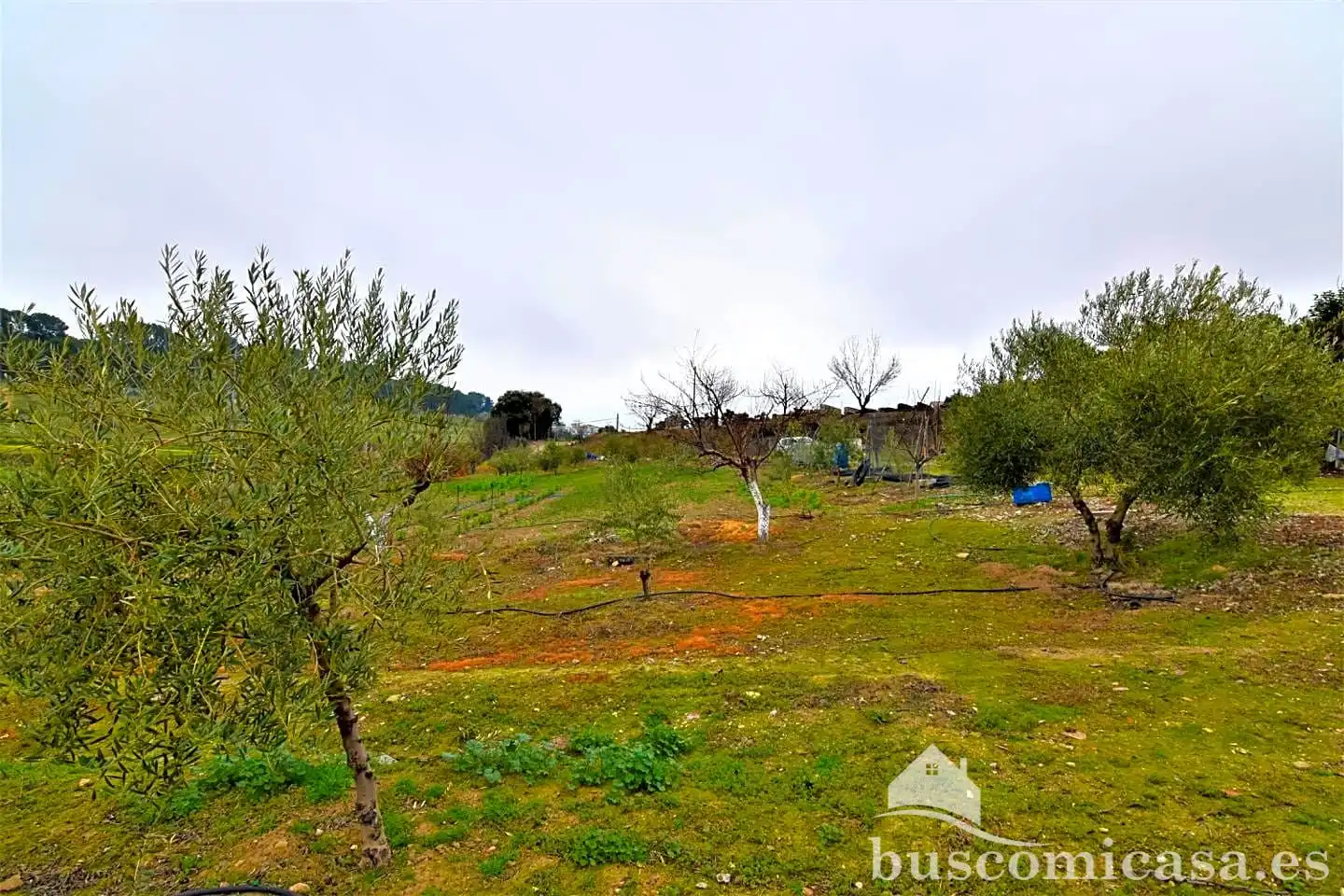 Casa o chalet en venta en Rus con Jardín privado, Trastero y Piscina
