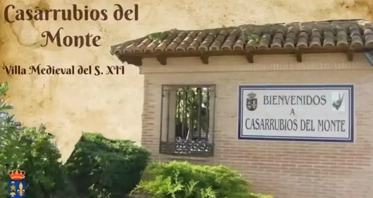 Einfamilien-Reihenhaus zum Verkauf in Casarrubios del Monte mit Klimaanlage, Heizung und Privatgarten