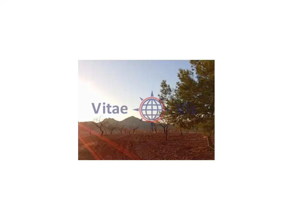 Residential land for sale in Travesia Fuensanta 01, imagen 2