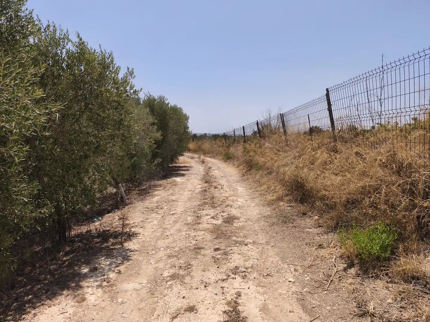 Rustikales Grundstück zum Verkauf in Sant Jaume dels Domenys, imagen 26