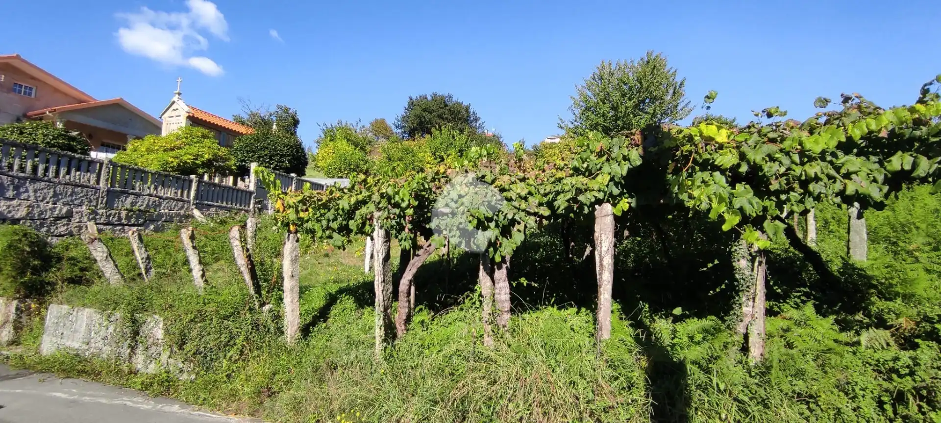 Terrenos y solares en venta en Vilaboa, imagen 2