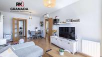 Living room of Flat for sale in  Granada Capital  with Air Conditioner