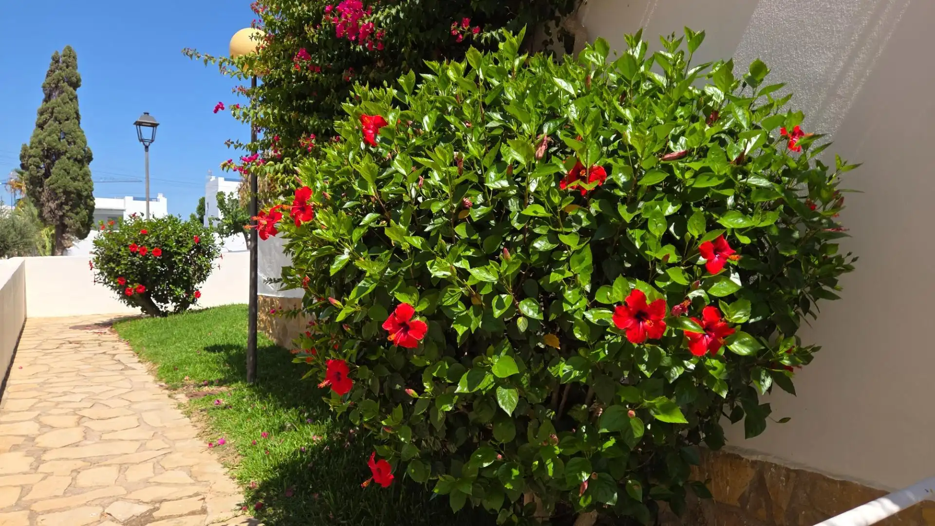 Jardí de Apartament en venda en Mojácar amb Aire condicionat, Calefacció i Terrassa