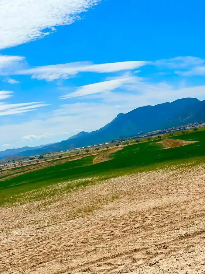 Terreni e lotti in vendita a Pedanías Norte, imagen 32