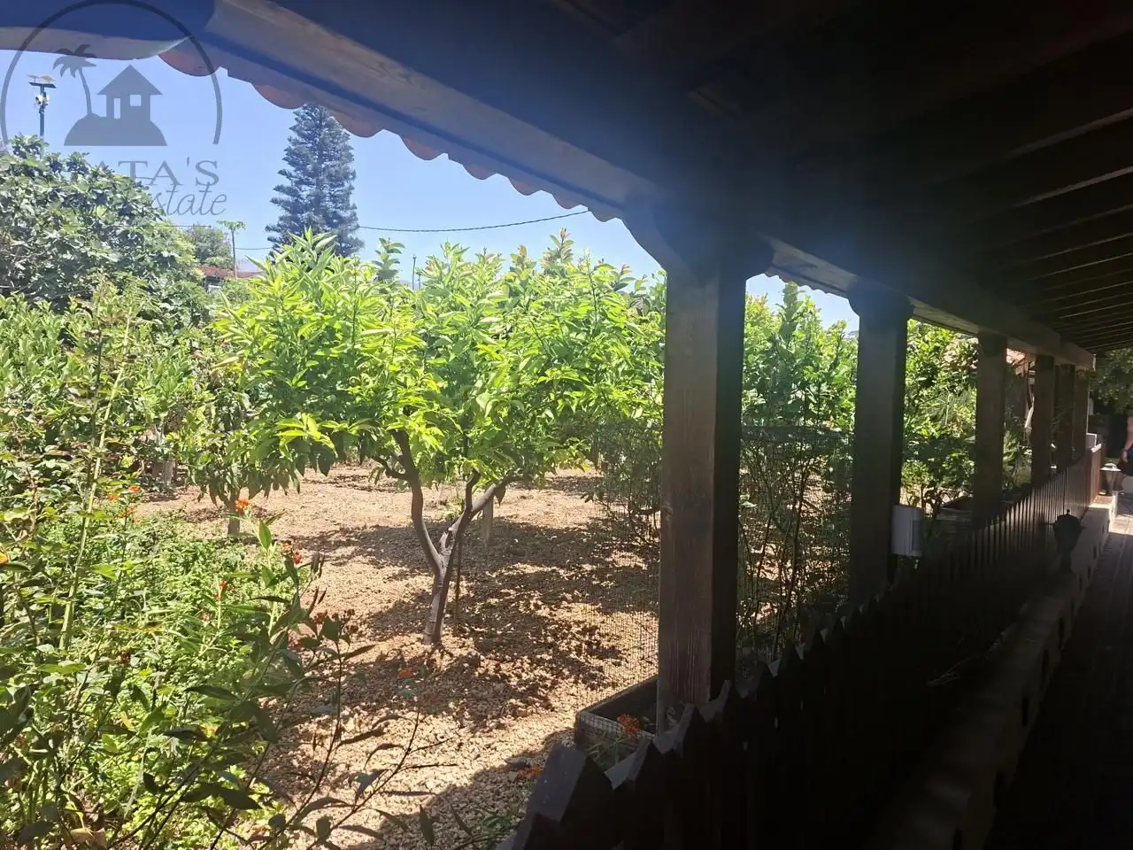 Jardí de Casa o xalet en venda en San Pedro del Pinatar amb Piscina