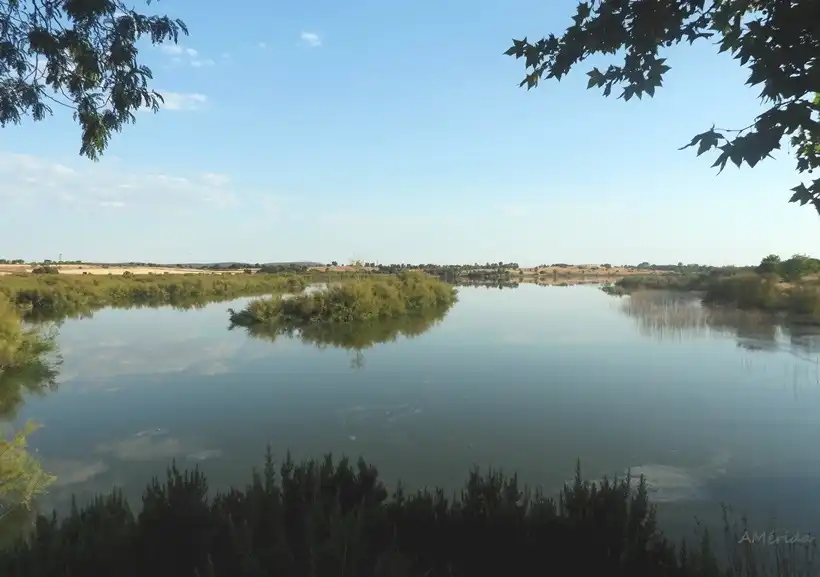 Vista exterior de Residencial en venta en Miguelturra