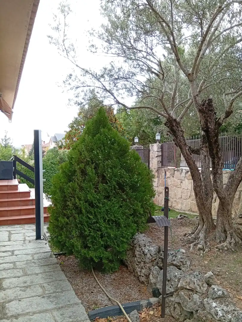 Jardí de Casa o xalet en venda en Guadalix de la Sierra amb Jardí privat, Terrassa i Traster