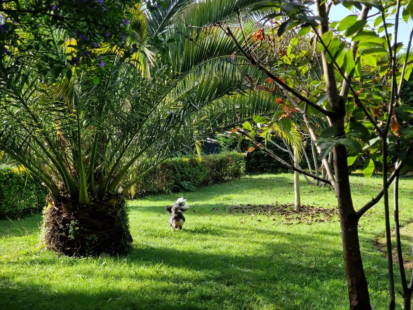 Villa con giardino in vendita a San Claudio - Trubia - Las Caldas, imagen 33