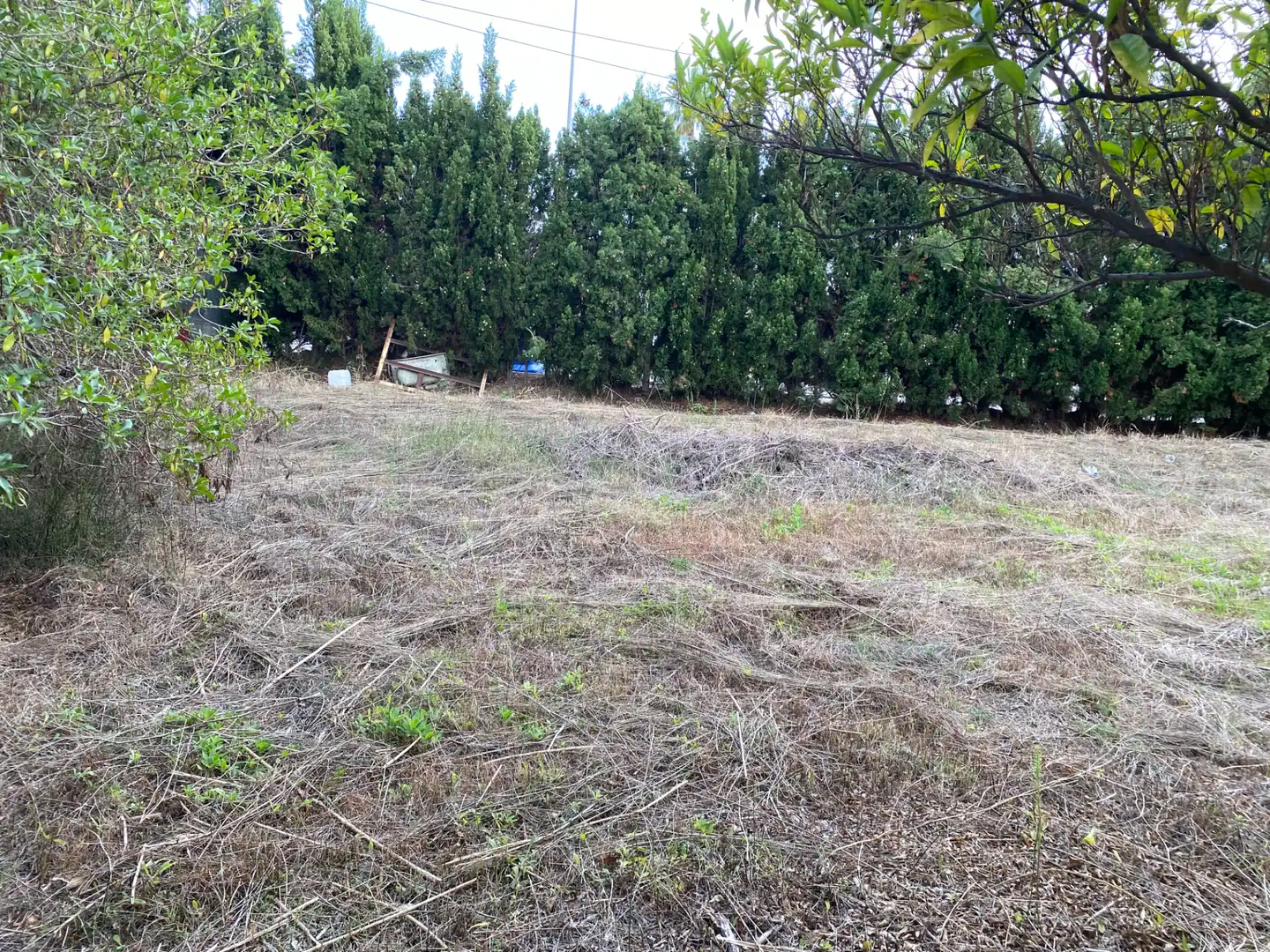 Residential for sale in Nules