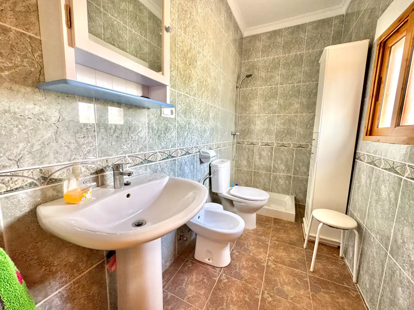 Bathroom of Country homes for sale in Albondón  with Private garden, Terrace and Storage room