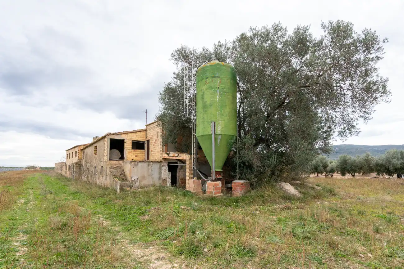 Rural land for sale in Ulldecona