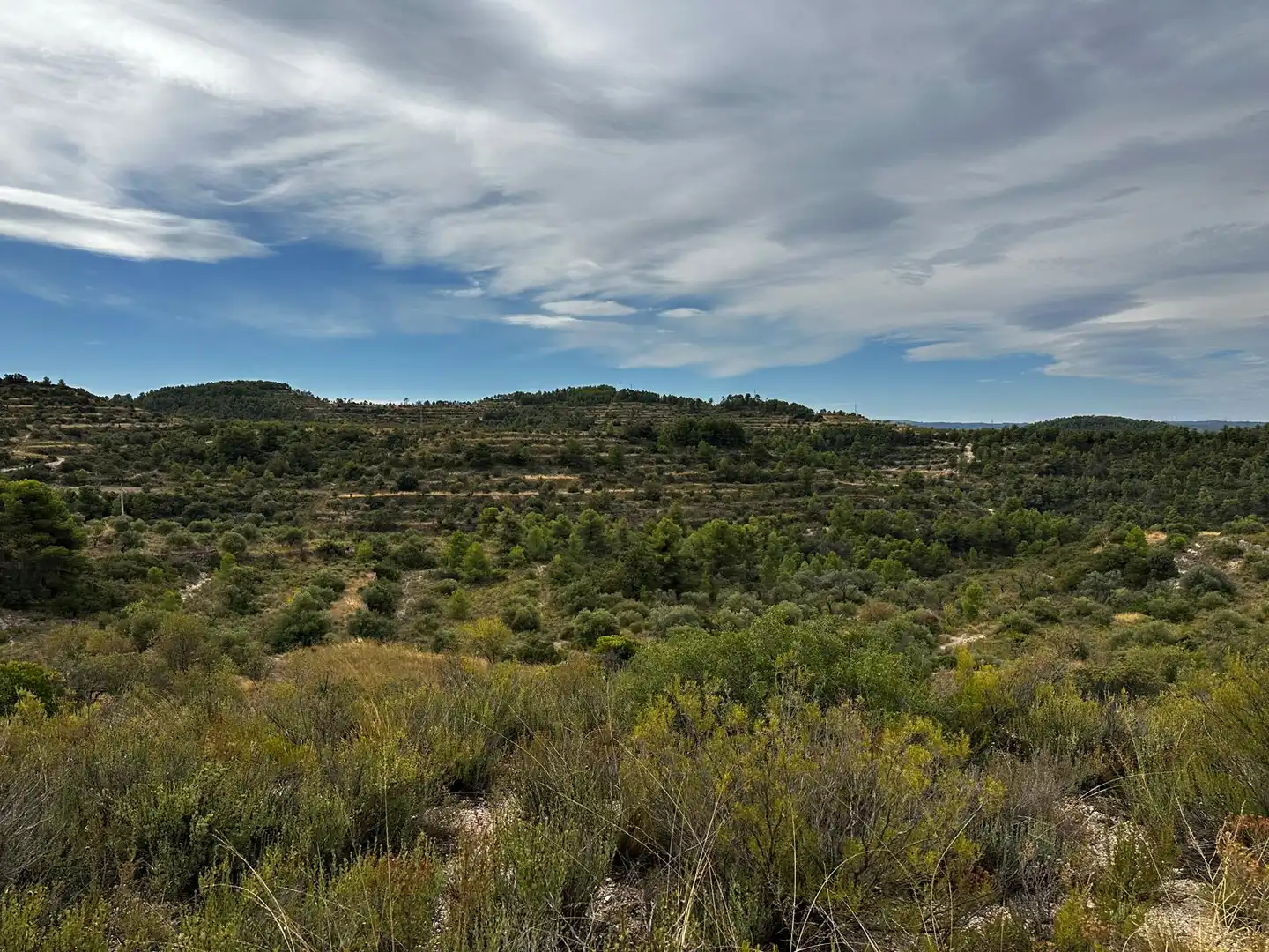 Terreny rústic en venda a Cervià de Les Garrigues, imagen 7