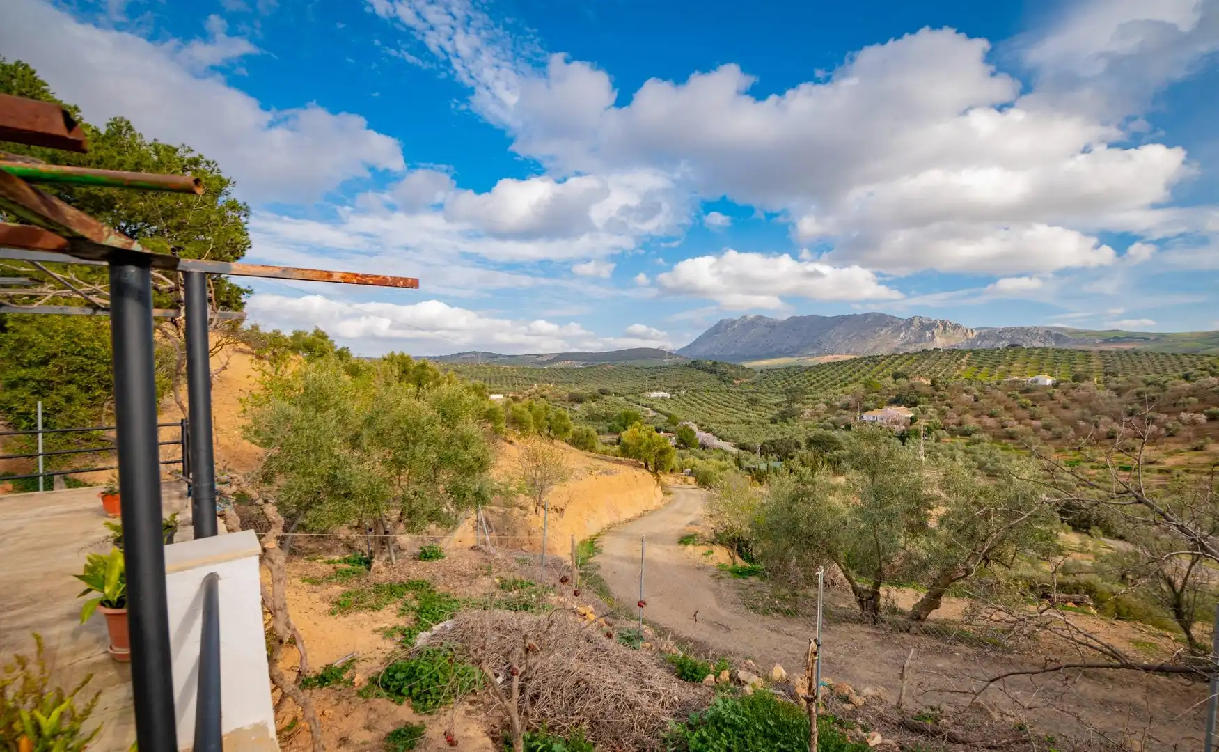 Finca rústica en venta en Antequera