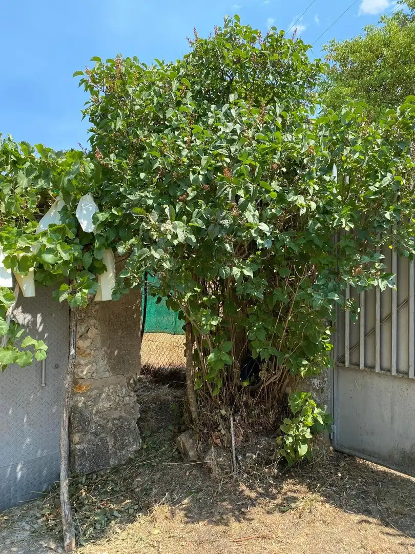 Terreno en venta en Escopete