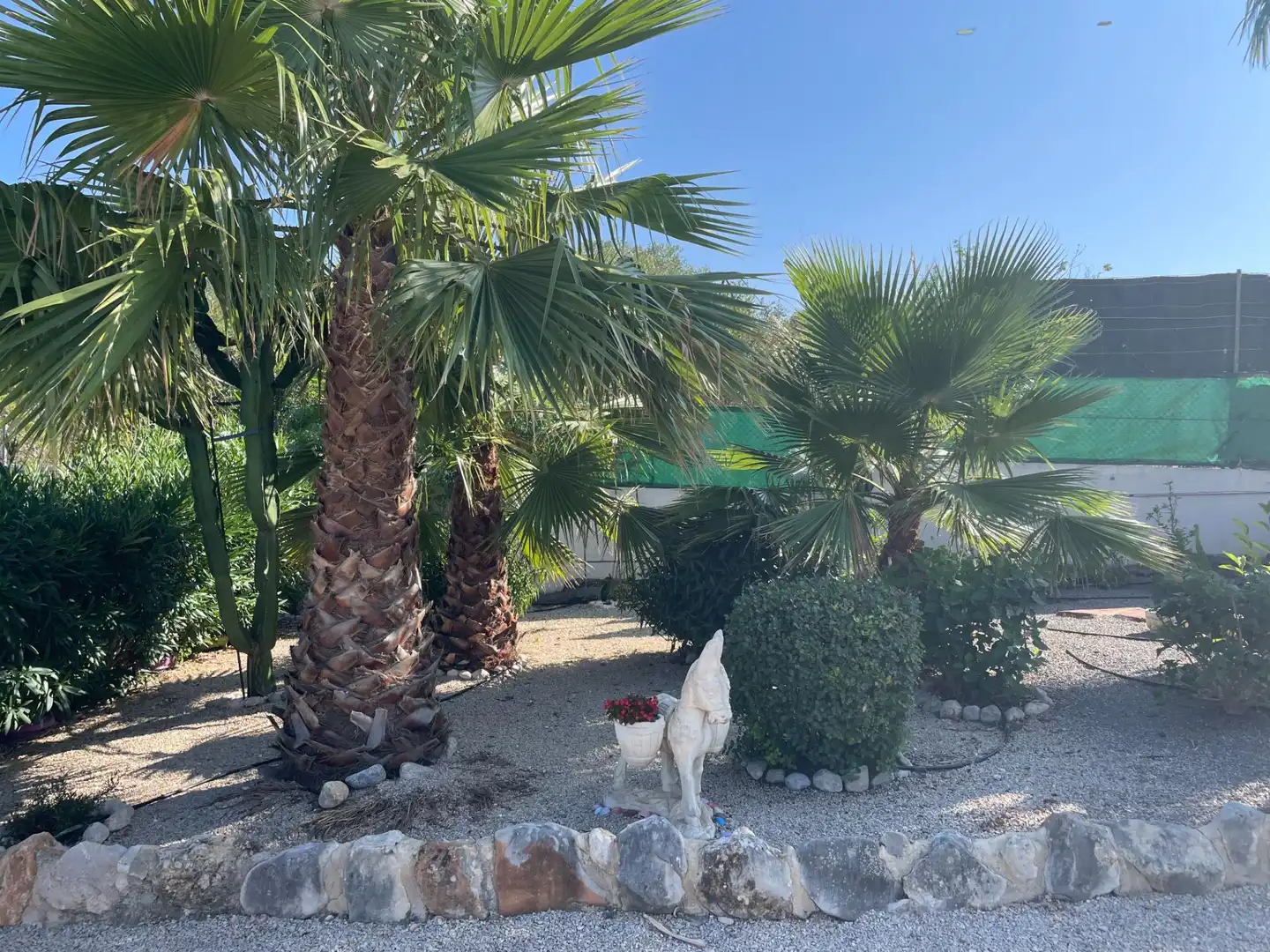 Vista exterior de Finca rústica en venda en Peñíscola / Peníscola amb Calefacció, Jardí privat i Terrassa