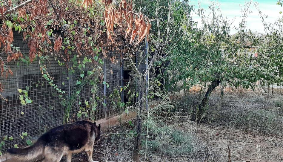 Photo 1 of Residential for sale in  Cuesta Cuesta del Tesoro 46, 46, Las Navas de la Concepción, Sevilla