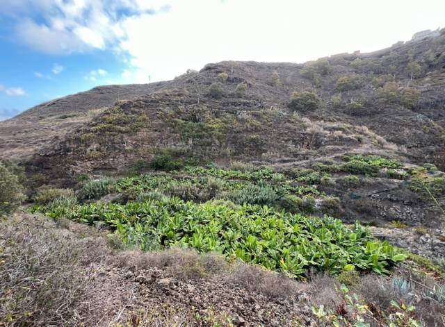 Terreno en Venta en Camino Hoya Olivares en El Palmar