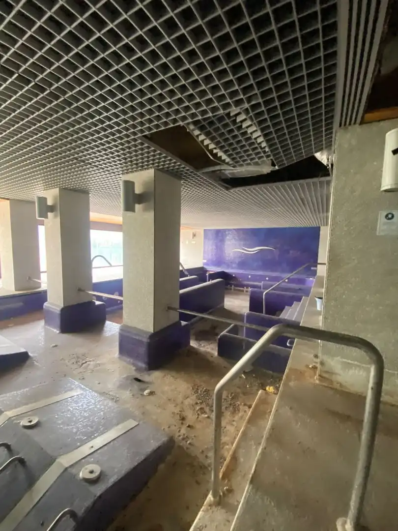 Schwimmbecken von Geschaftsraum zum Verkauf in Marbella