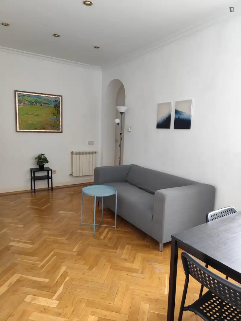 Sala de estar de Apartamento de alquiler en Madrid con Aire acondicionado, Amueblado y Horno