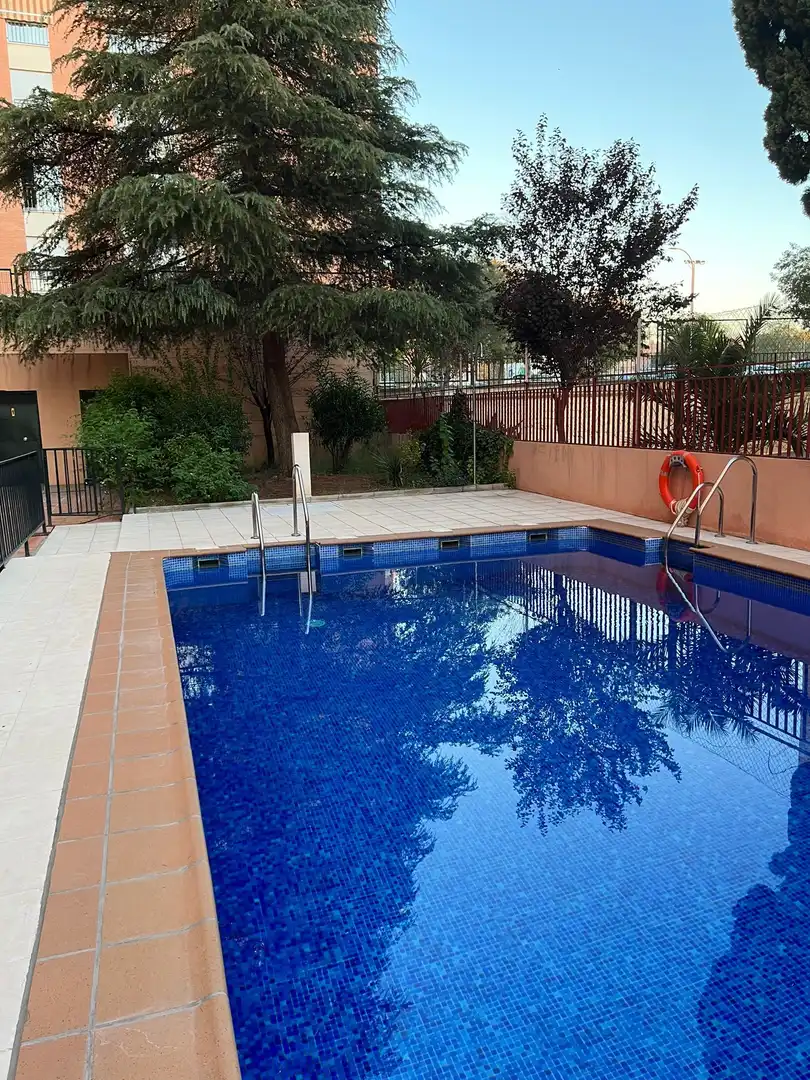 Flat for rent in Calle Escritor Miguel Toro, Barrio de Zaidín