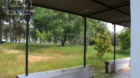 Foto 4 de Finca rústica en venda a Almonte ciudad, Almonte