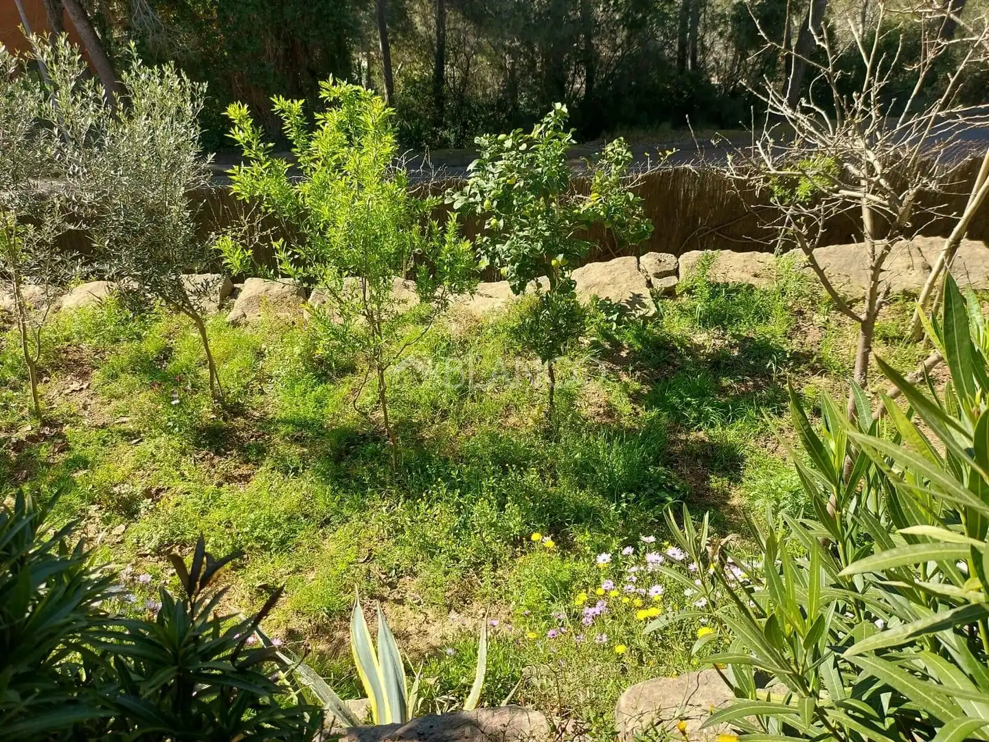 Xalet amb terrassa en venda a Corbera de Llobregat, imagen 39