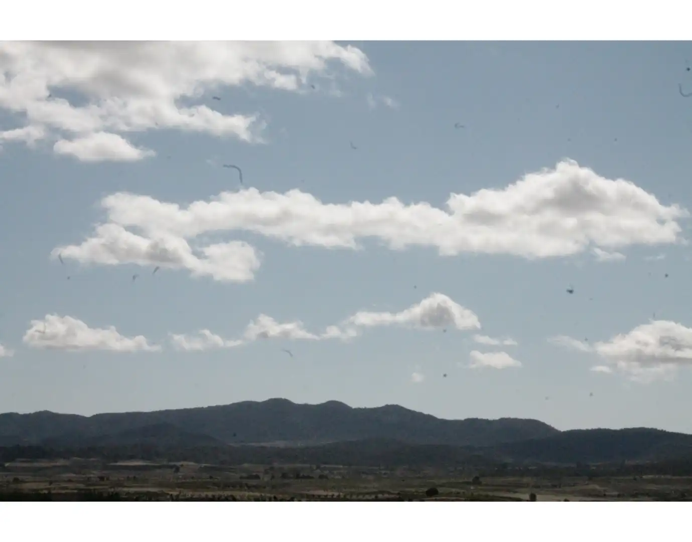 Country house for sale in Jumilla, imagen 36