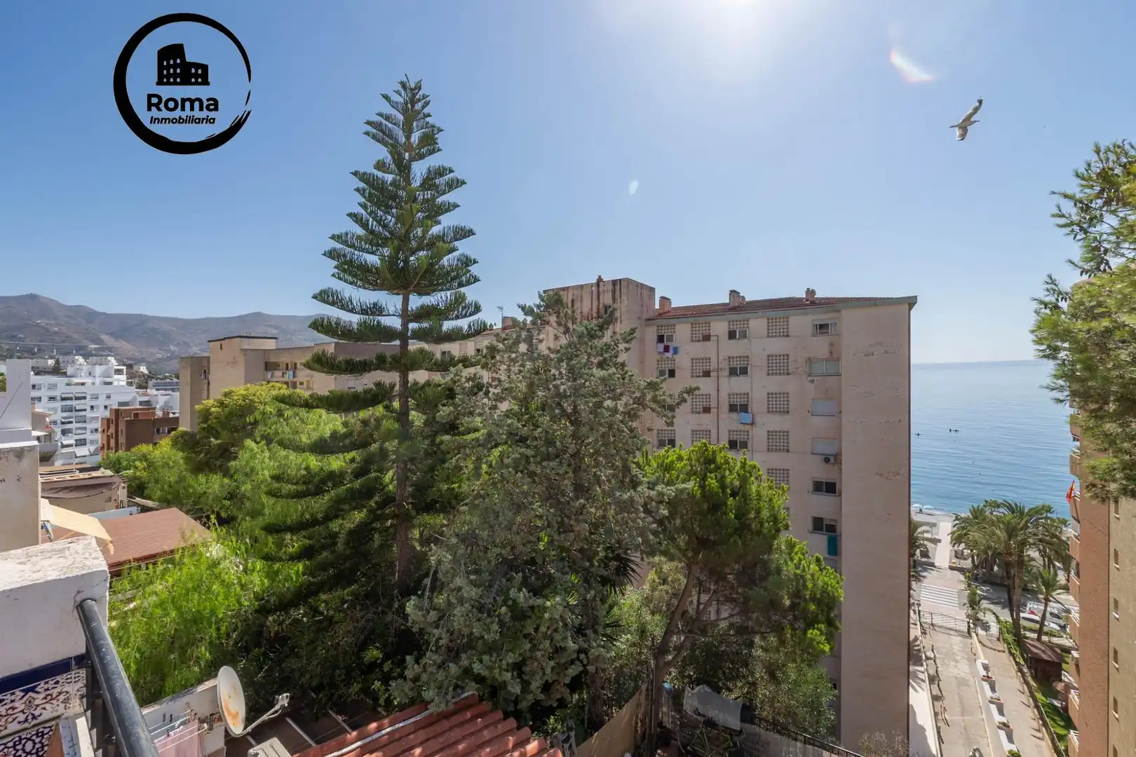 Exterior view of Houses for sale in Almuñécar  with Community pool