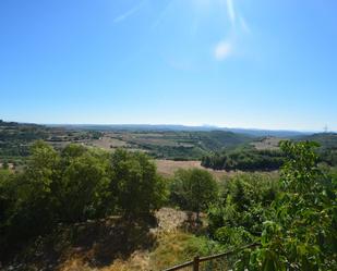 Finca rústica en venda en Veciana amb Jardí privat