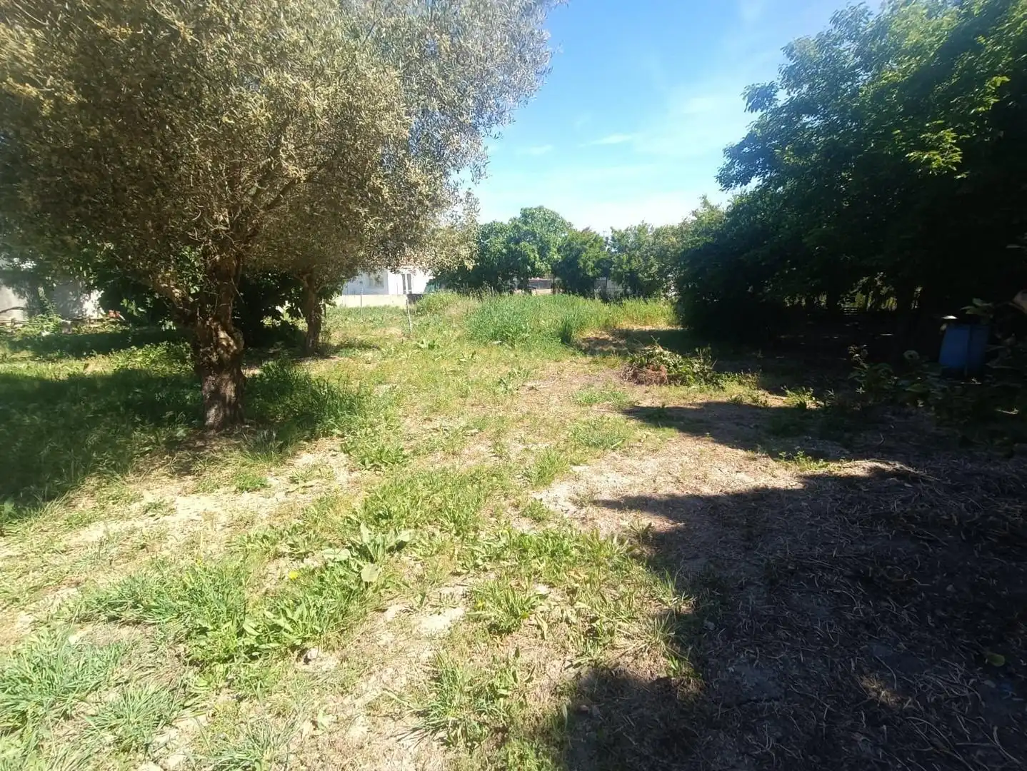 Terreny residencial en venda a Ctra Sanlúcar - Cuatro Pinos, imagen 7
