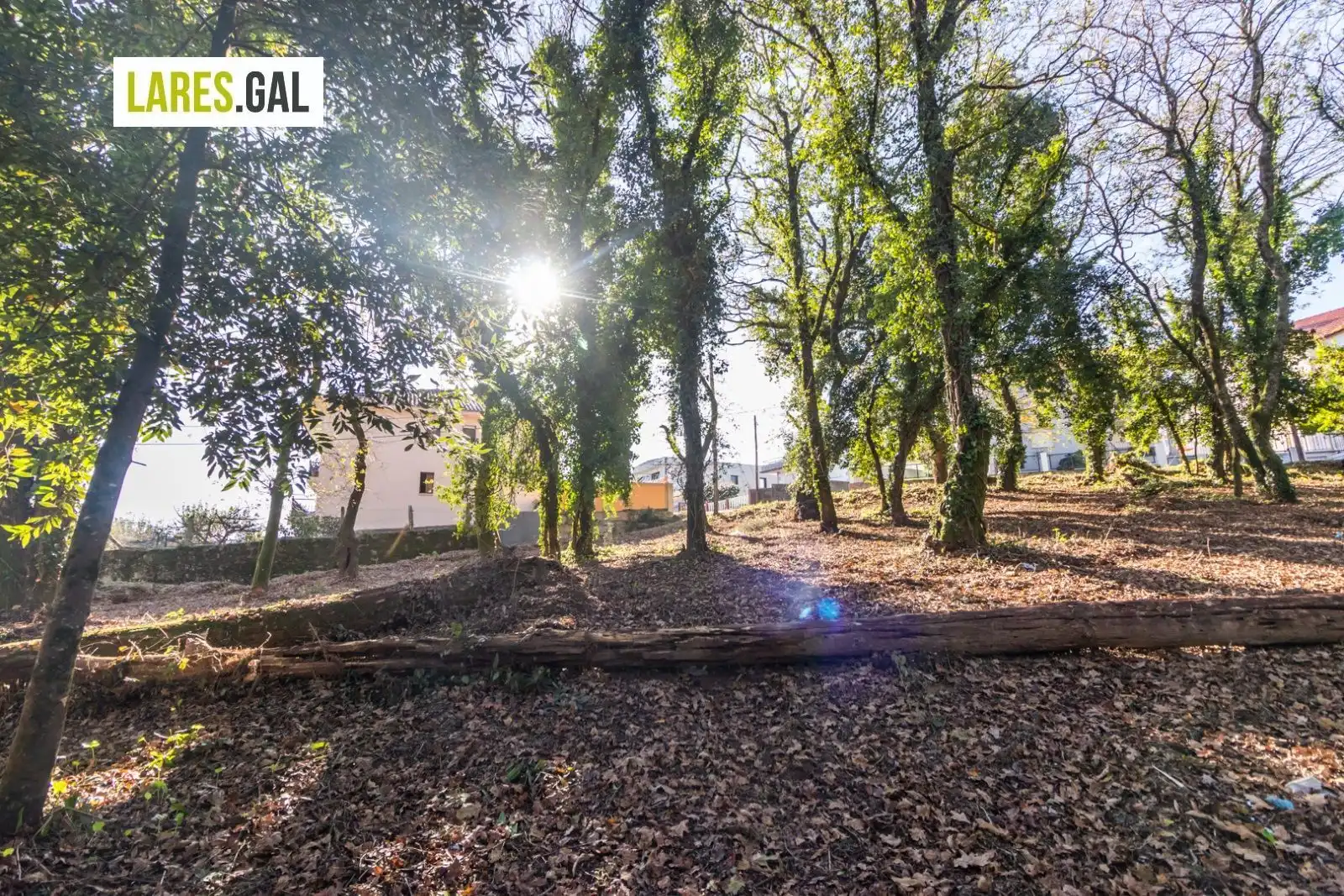 Lands and plots for sale in Rúa Ximeu, imagen 18