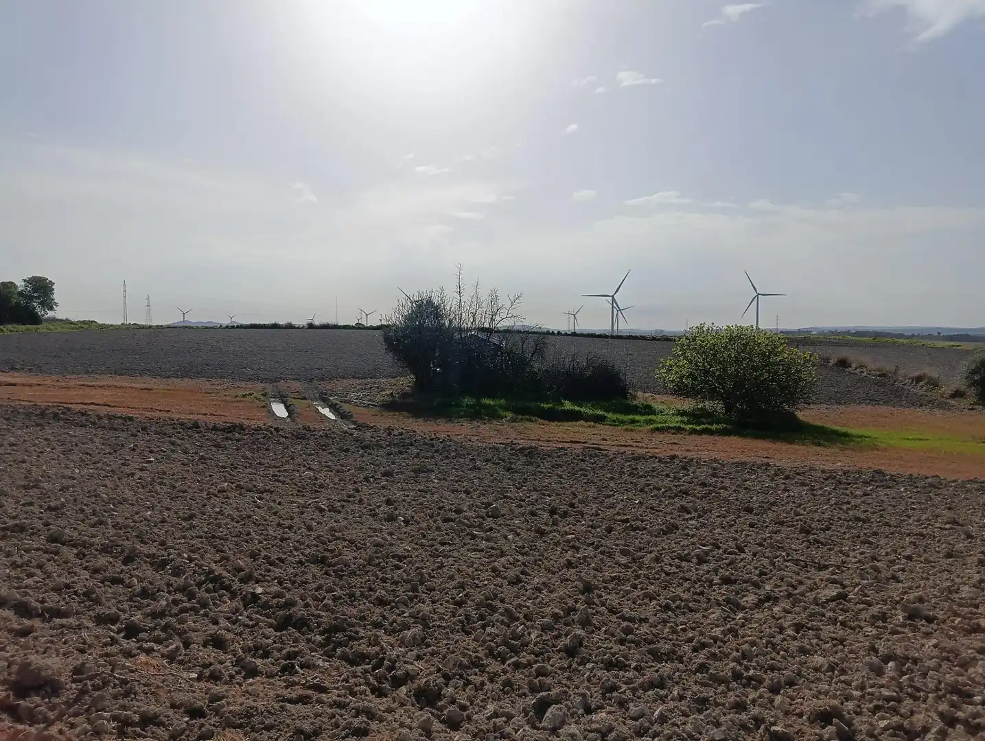 Rustikales Grundstück zum Verkauf in Los Franceses – La Vega, imagen 6