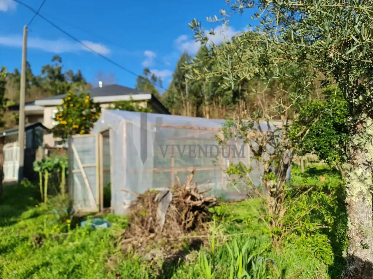 Terreno residenziale in vendita a A Cañiza, imagen 12