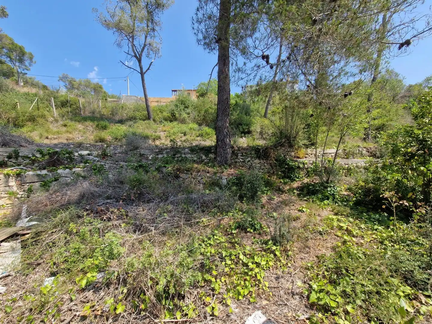 Residential land for sale in Olivella, imagen 6