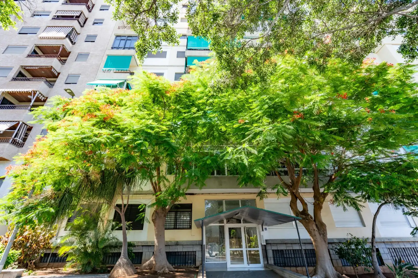 Apartament amb ascensor en venda a Rambla DE SANTA CRUZ, imagen 51