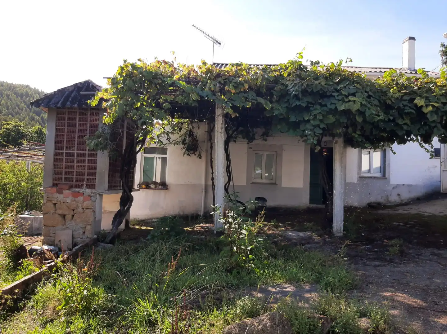 Exterior view of Houses for sale in Ferrol  with Furnished