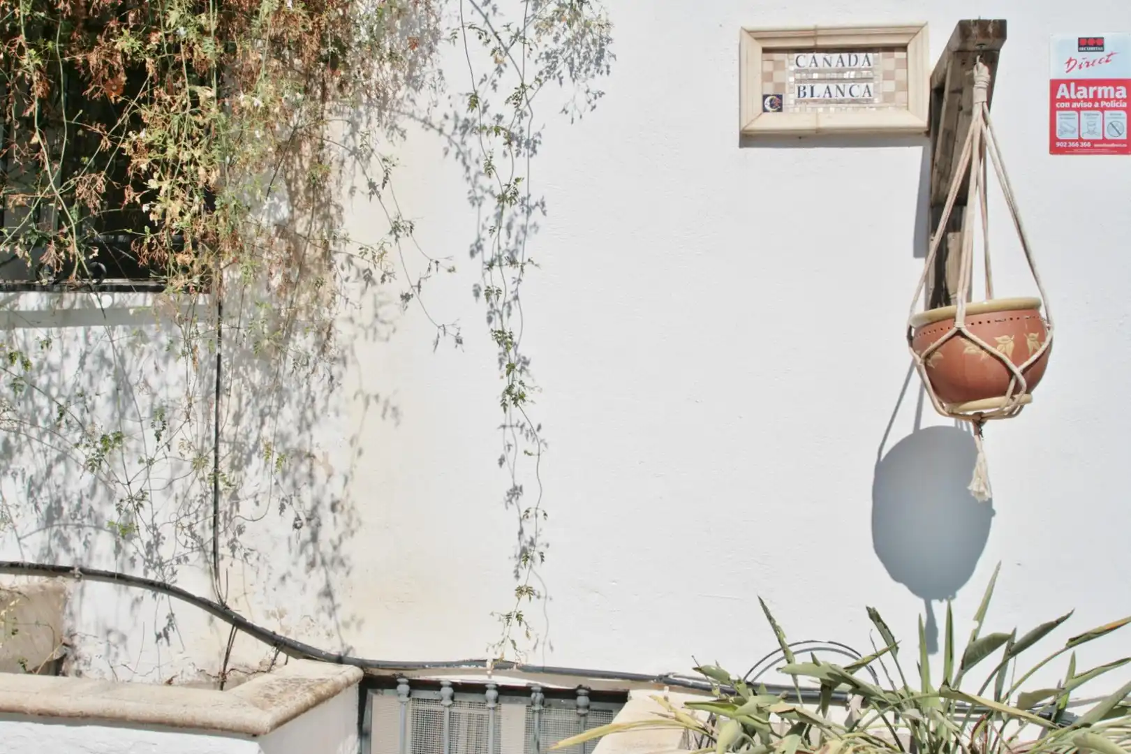 Vista exterior de Casa o chalet en venta en Alhama de Almería con Aire acondicionado, Jardín privado y Trastero