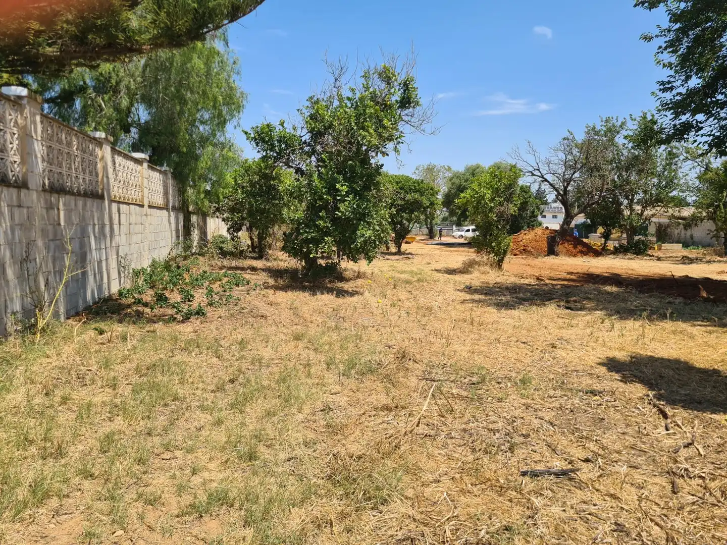Terreni e lotti in vendita a Núcleo urbano, imagen 2