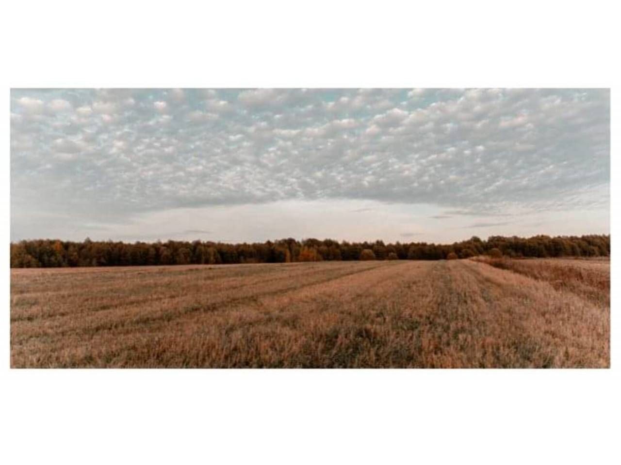 Industrial land for sale in Binéfar