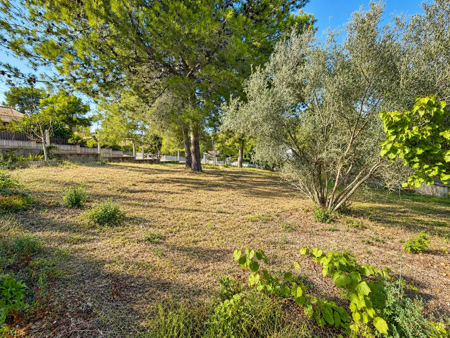 Terreno residencial en venta en Olivella