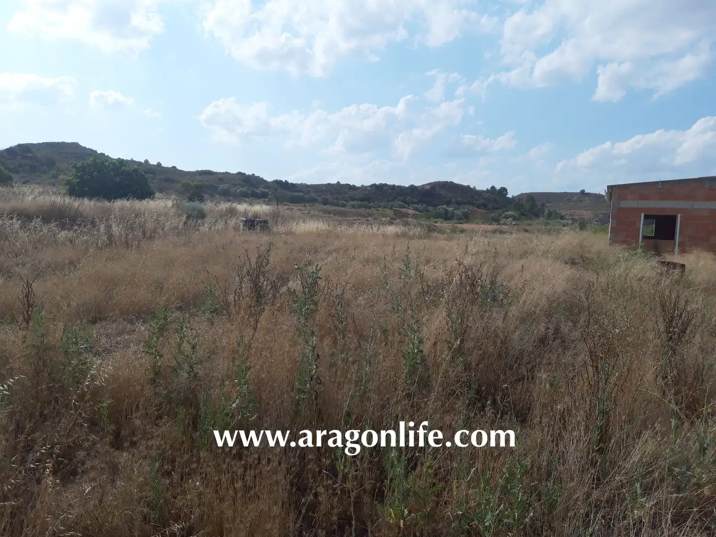 Terreni e lotti in vendita a Fabara, imagen 5