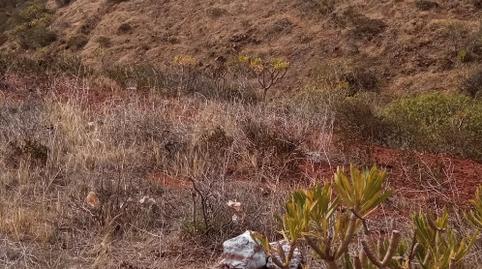 Foto 4 de Terreno en venta en Camino el Convento, 8a, El Tablero,  Santa Cruz de Tenerife Capital
